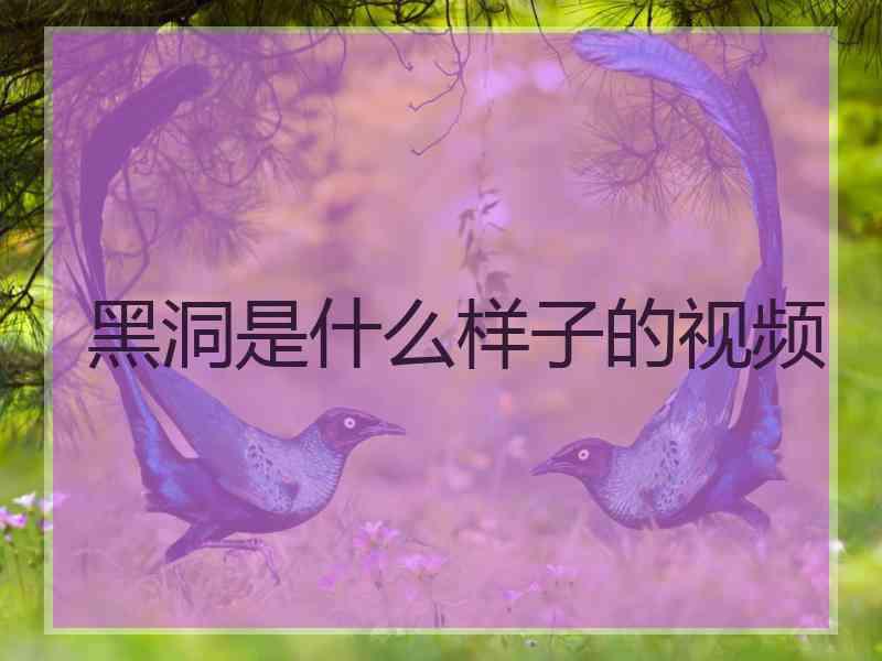 黑洞是什么样子的视频