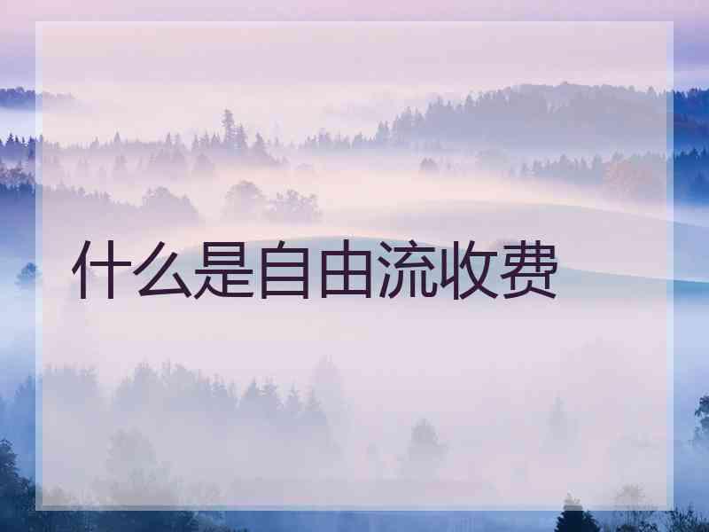 什么是自由流收费