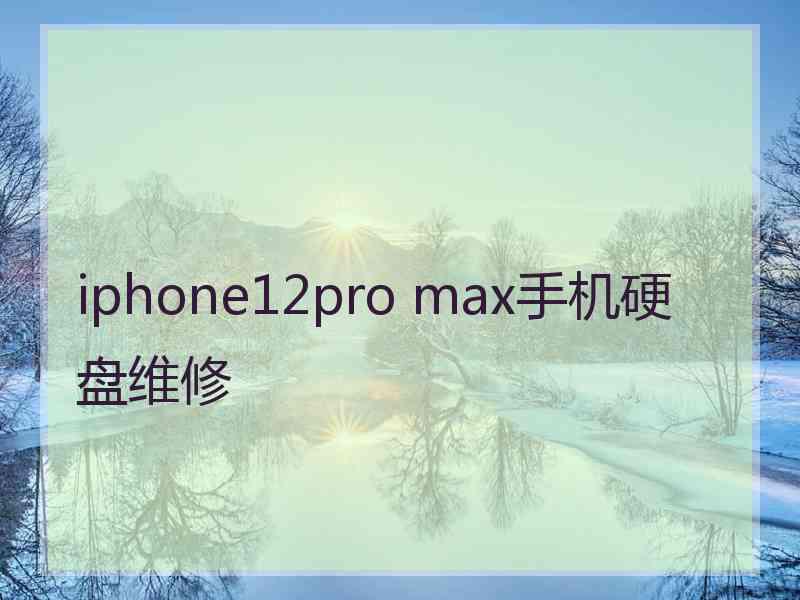 iphone12pro max手机硬盘维修