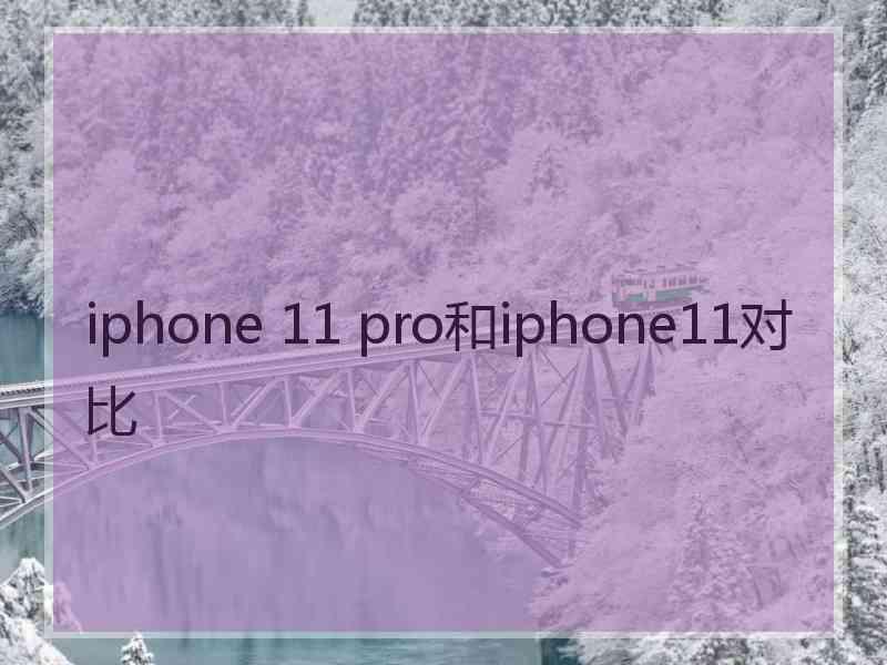 iphone 11 pro和iphone11对比