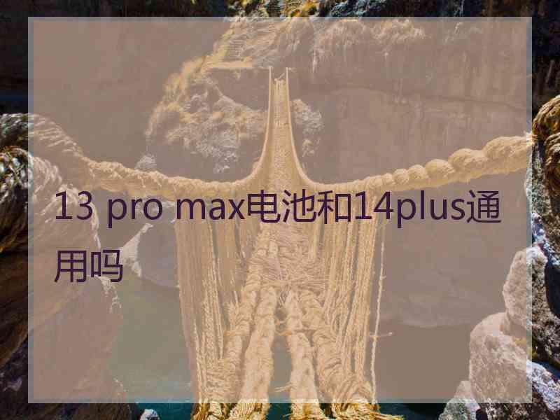 13 pro max电池和14plus通用吗