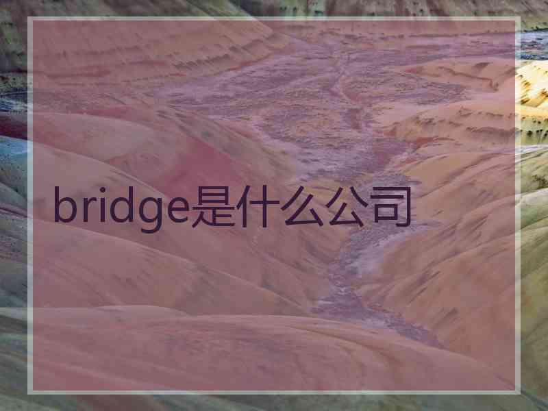 bridge是什么公司