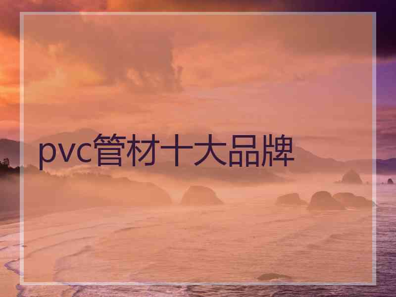 pvc管材十大品牌