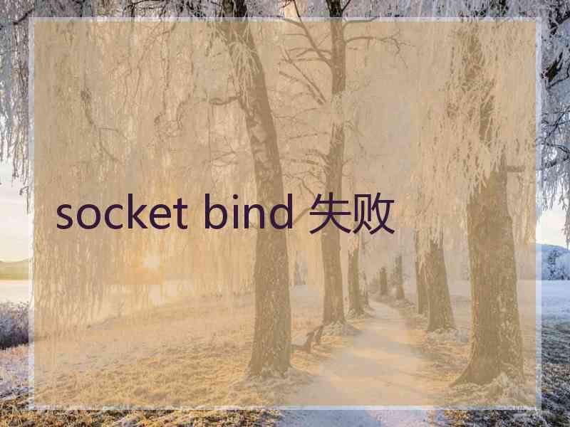 socket bind 失败