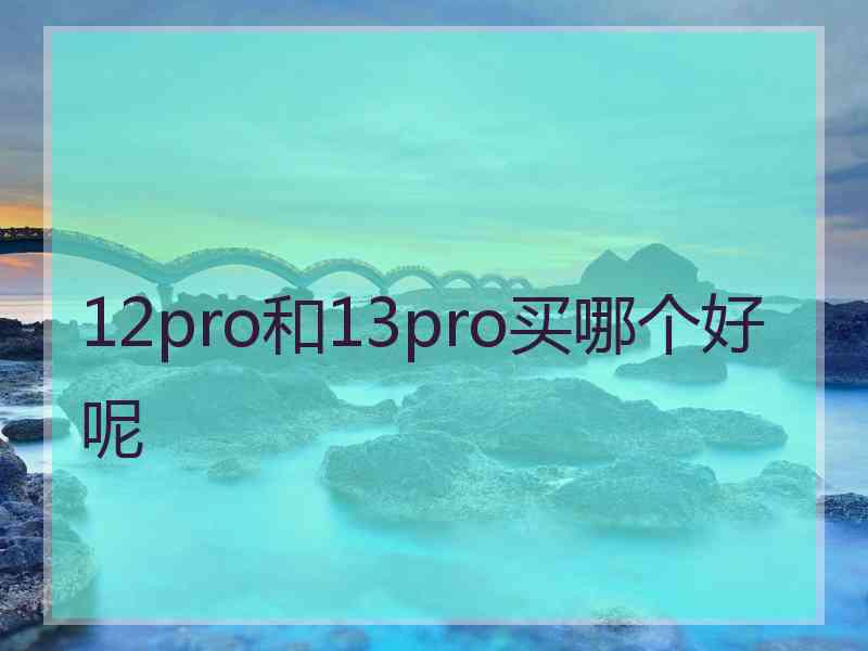 12pro和13pro买哪个好呢