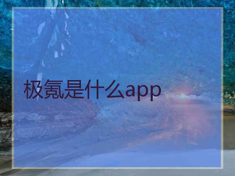 极氪是什么app