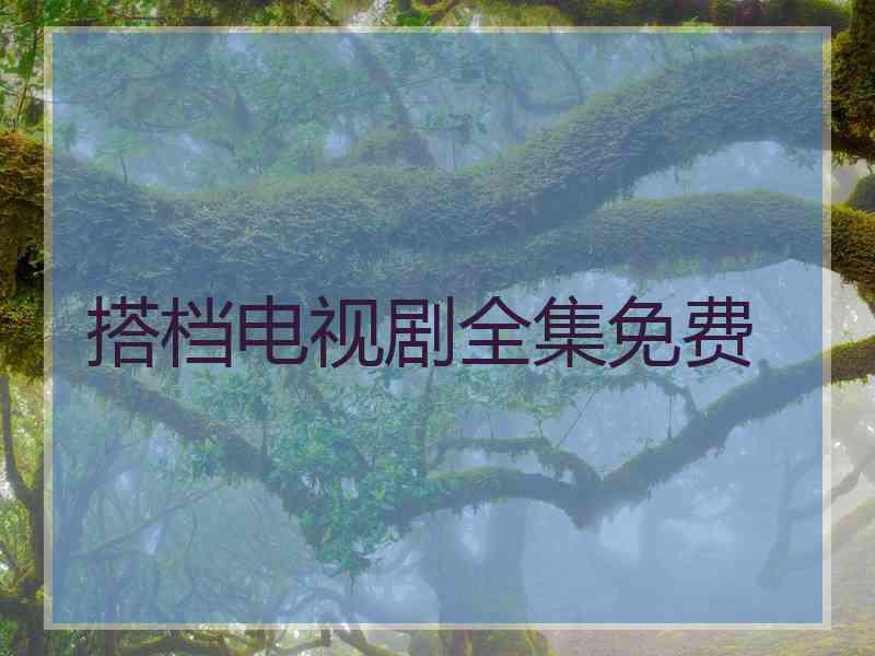 搭档电视剧全集免费