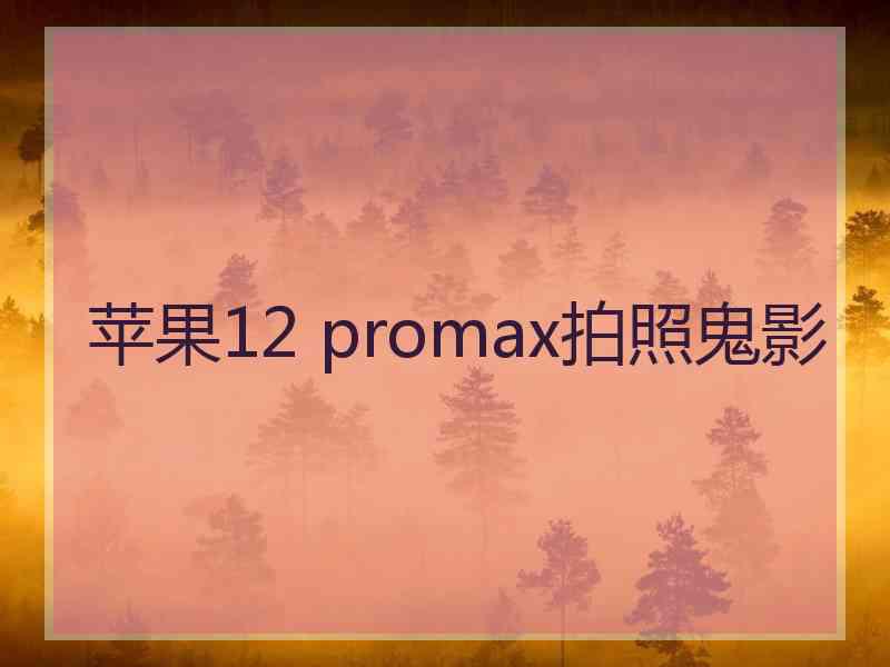 苹果12 promax拍照鬼影