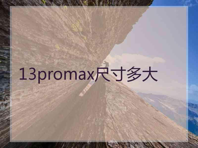 13promax尺寸多大