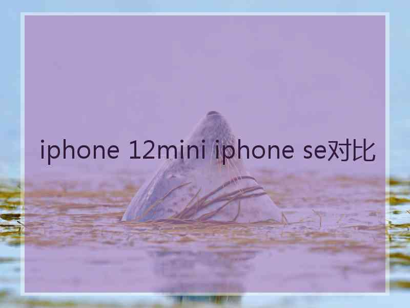 iphone 12mini iphone se对比