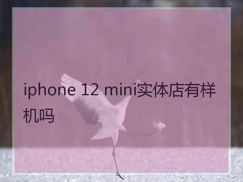 iphone 12 mini实体店有样机吗