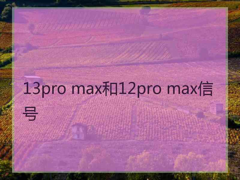 13pro max和12pro max信号