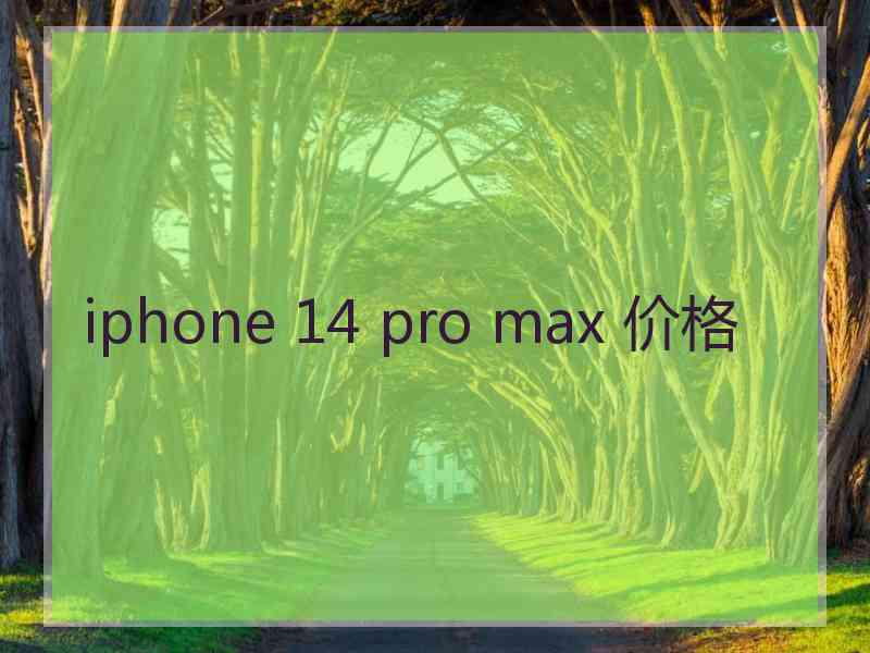 iphone 14 pro max 价格