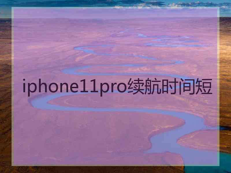 iphone11pro续航时间短