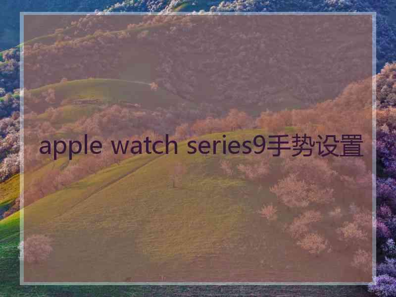 apple watch series9手势设置