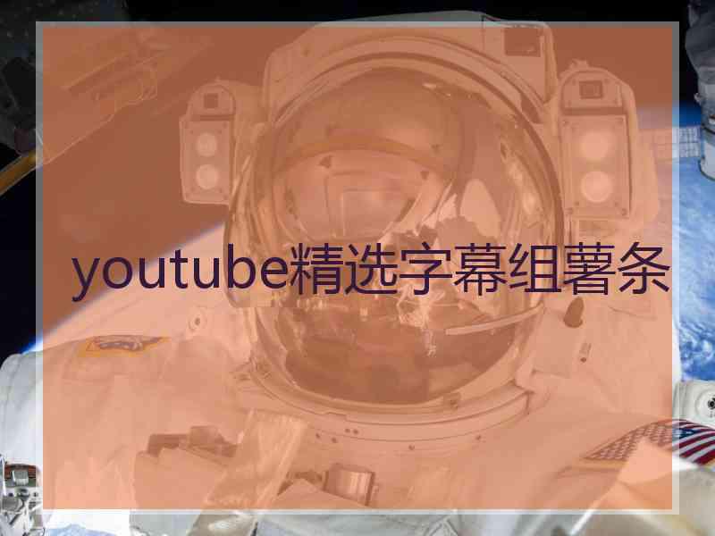 youtube精选字幕组薯条