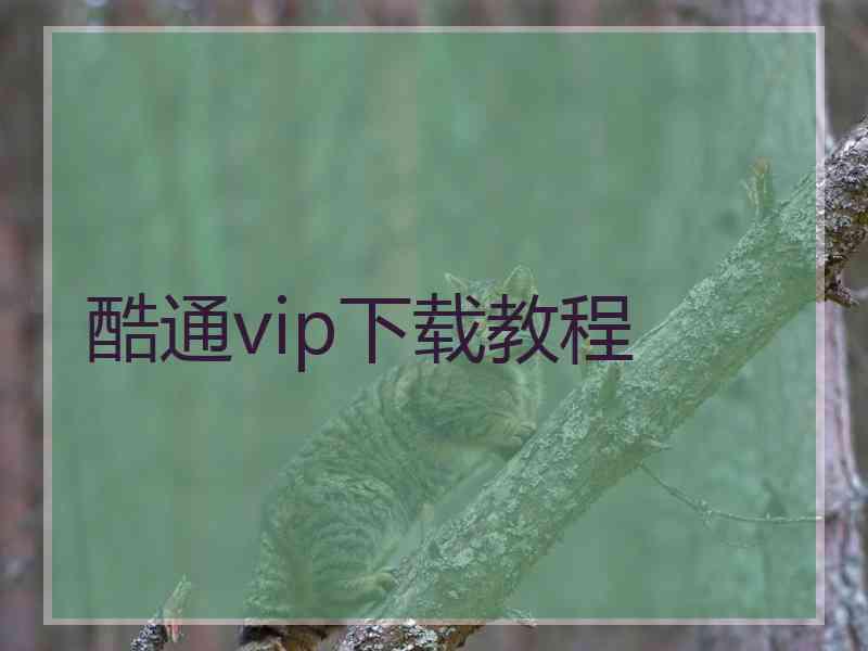 酷通vip下载教程