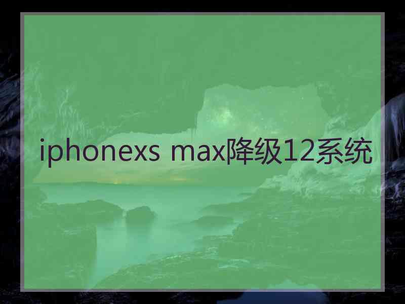 iphonexs max降级12系统