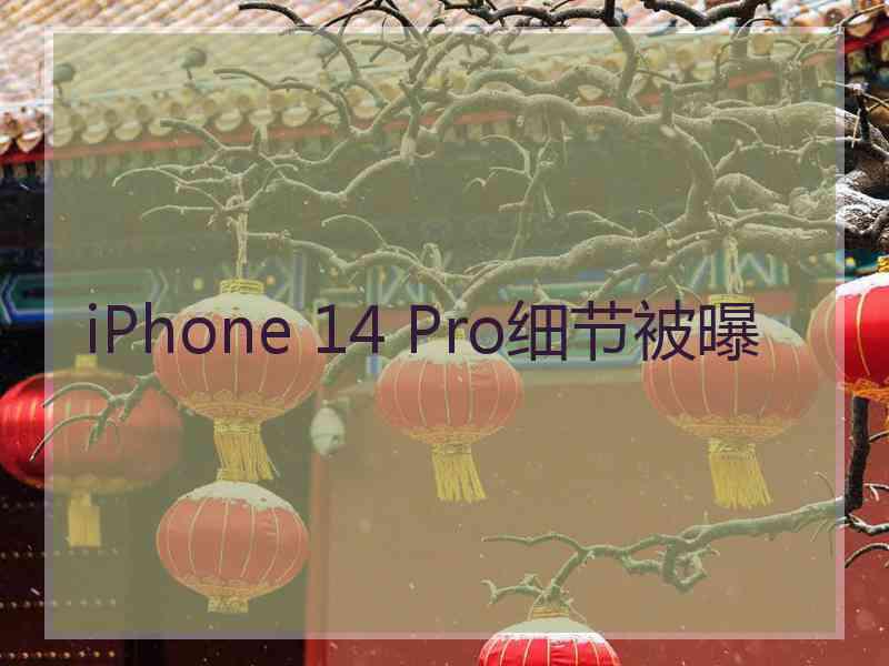 iPhone 14 Pro细节被曝