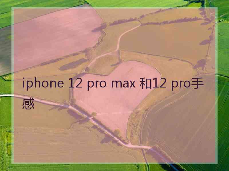 iphone 12 pro max 和12 pro手感