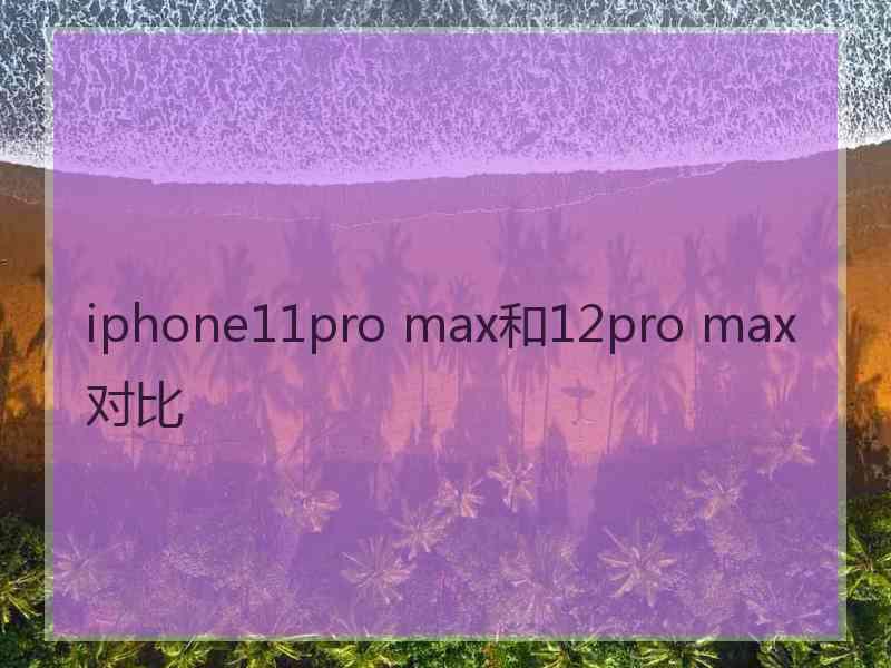 iphone11pro max和12pro max对比