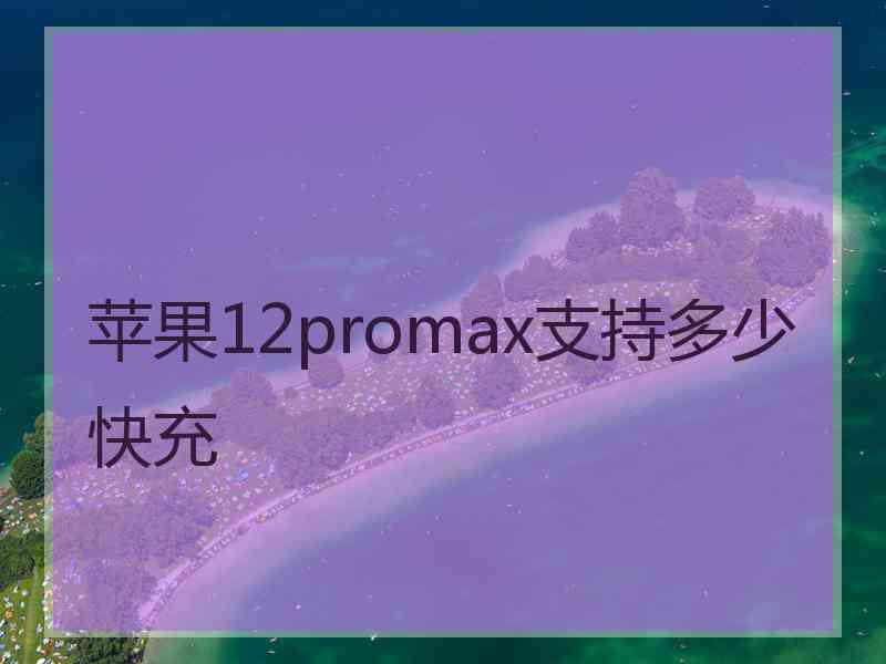 苹果12promax支持多少快充