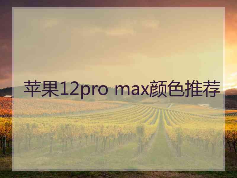 苹果12pro max颜色推荐