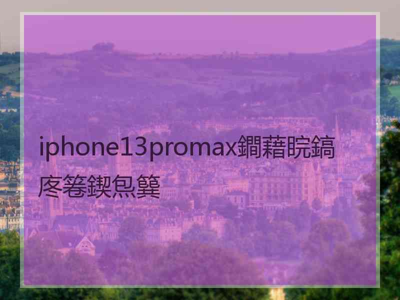 iphone13promax鐧藉睆鎬庝箞鍥炰簨