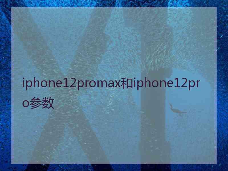 iphone12promax和iphone12pro参数