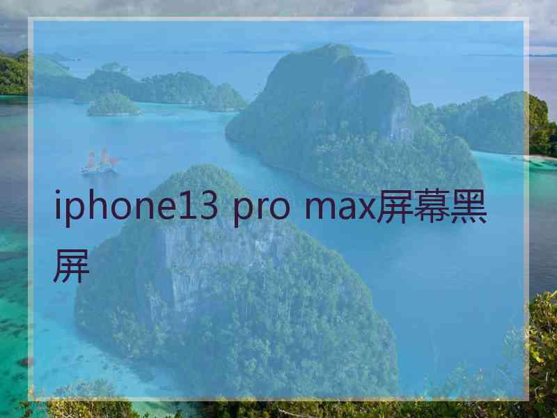 iphone13 pro max屏幕黑屏