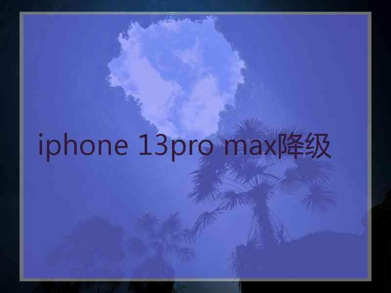 iphone 13pro max降级