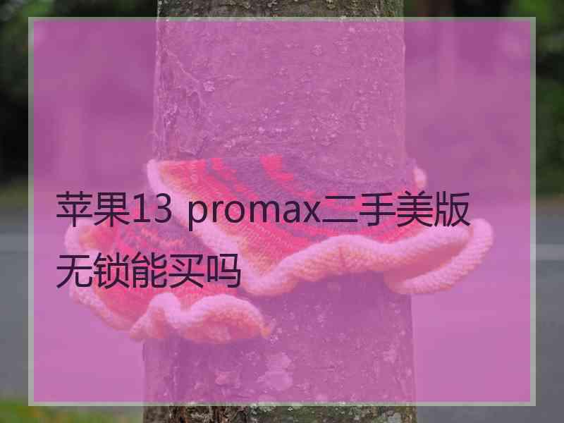 苹果13 promax二手美版无锁能买吗