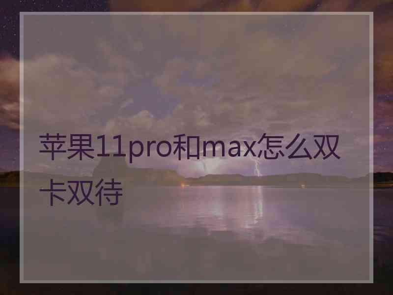 苹果11pro和max怎么双卡双待