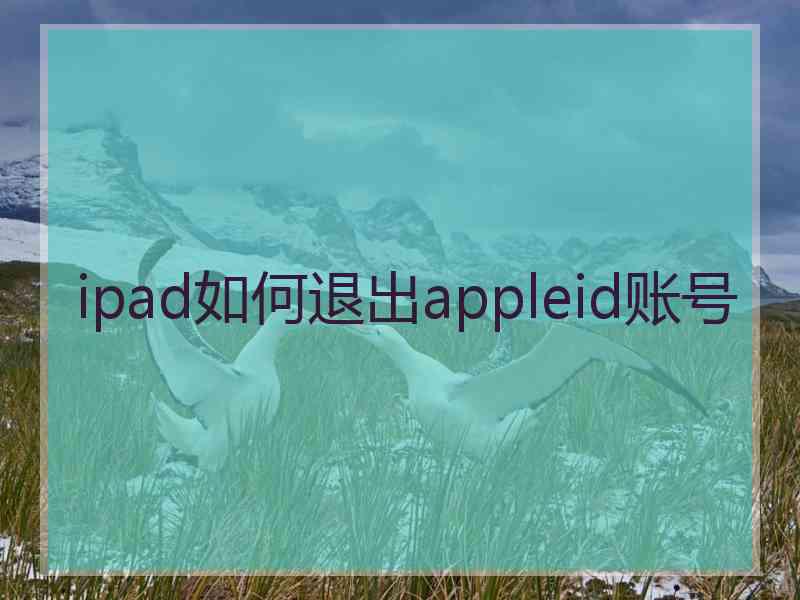 ipad如何退出appleid账号