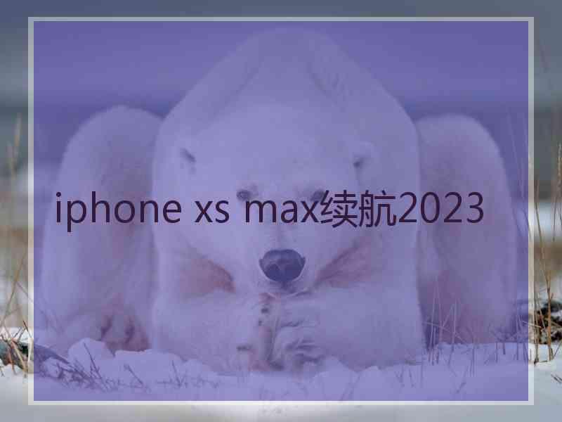 iphone xs max续航2023