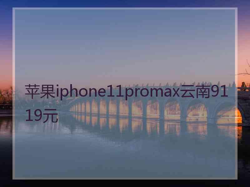 苹果iphone11promax云南9119元