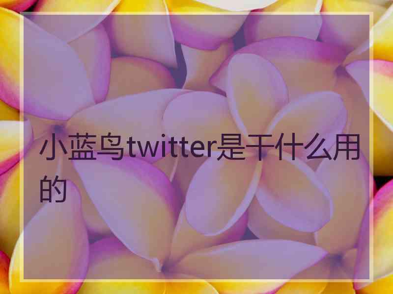 小蓝鸟twitter是干什么用的