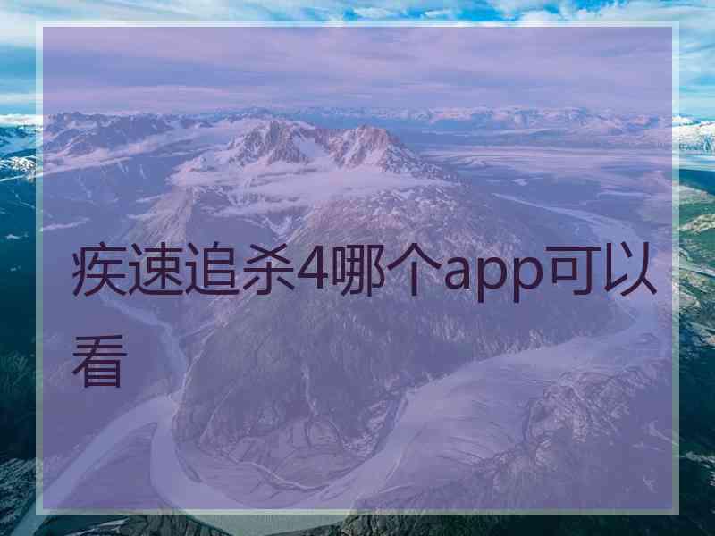 疾速追杀4哪个app可以看