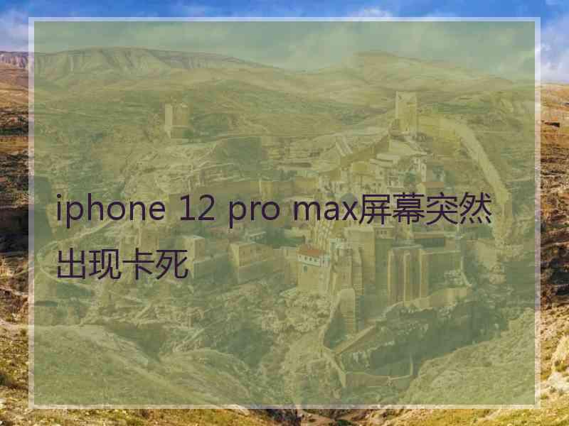 iphone 12 pro max屏幕突然出现卡死