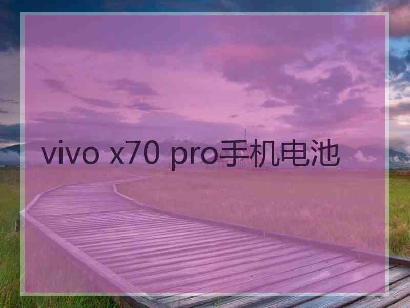 vivo x70 pro手机电池