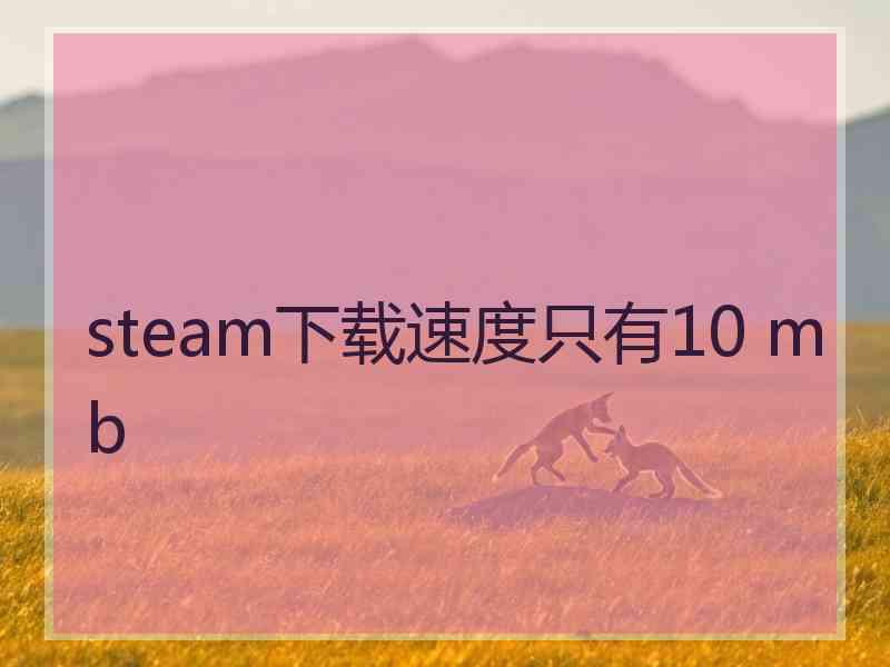 steam下载速度只有10 mb