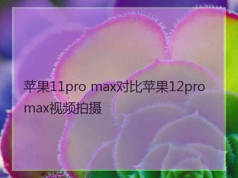 苹果11pro max对比苹果12promax视频拍摄