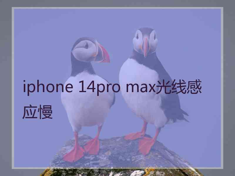 iphone 14pro max光线感应慢