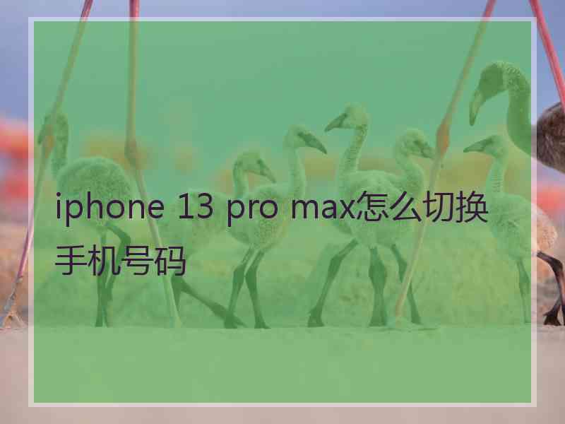 iphone 13 pro max怎么切换手机号码