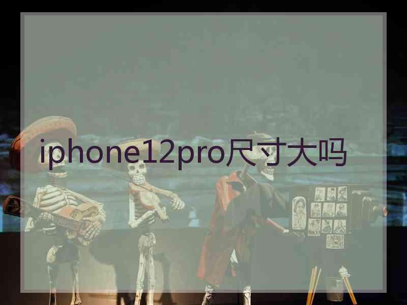 iphone12pro尺寸大吗