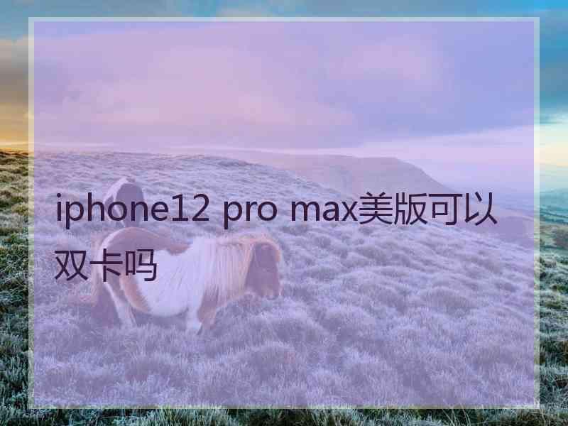 iphone12 pro max美版可以双卡吗