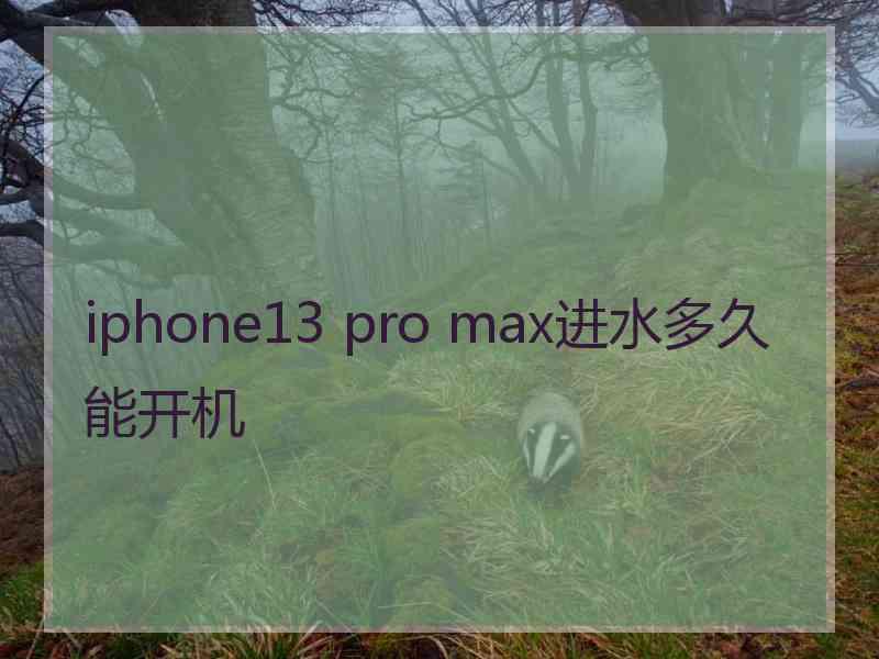 iphone13 pro max进水多久能开机