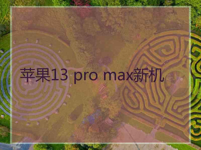 苹果13 pro max新机