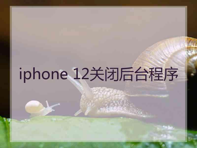 iphone 12关闭后台程序