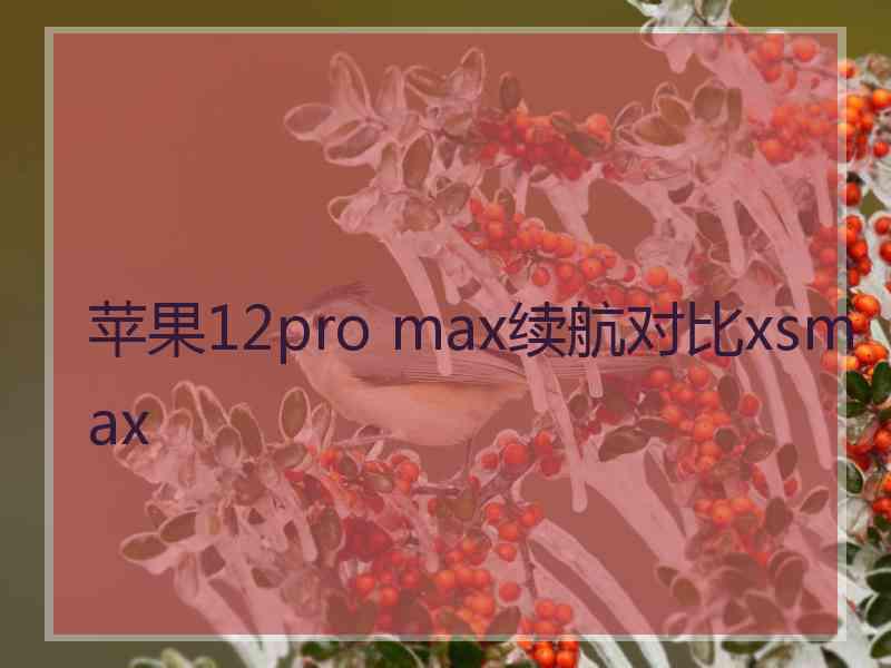 苹果12pro max续航对比xsmax